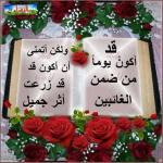 الصورة الرمزية حسناء
