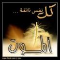 الصورة الرمزية هم يحسدوني